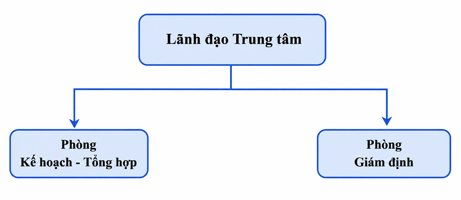 Cơ cấu tổ chức