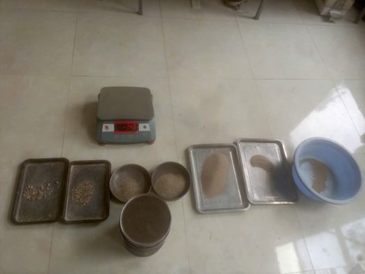 Lưu nháp tự động