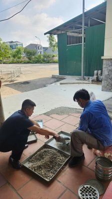 Lưu nháp tự động